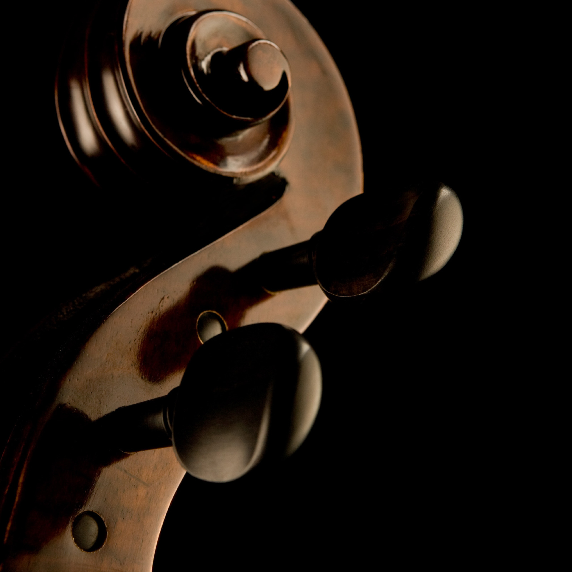 cello_00387784