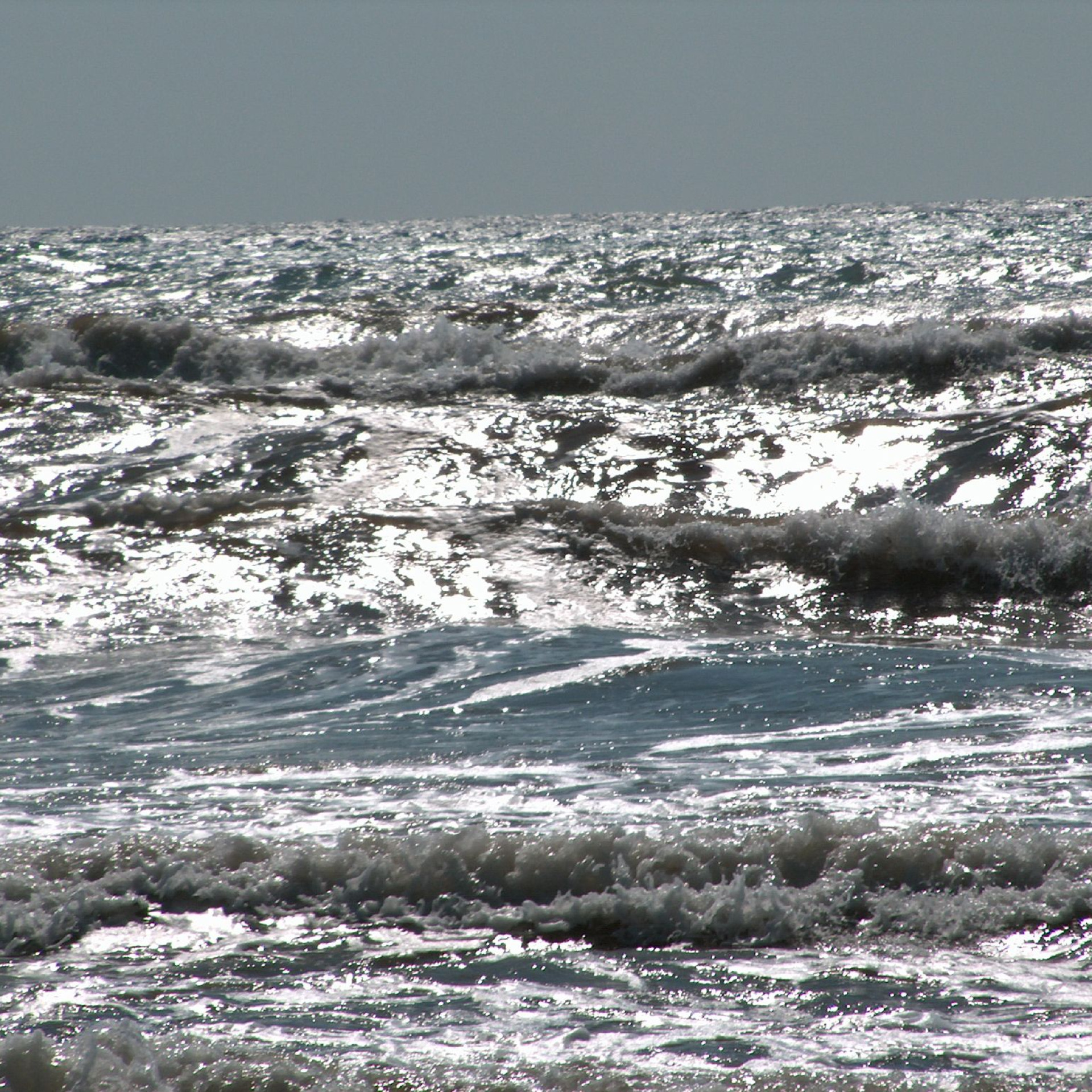 162350195_761f326115_o