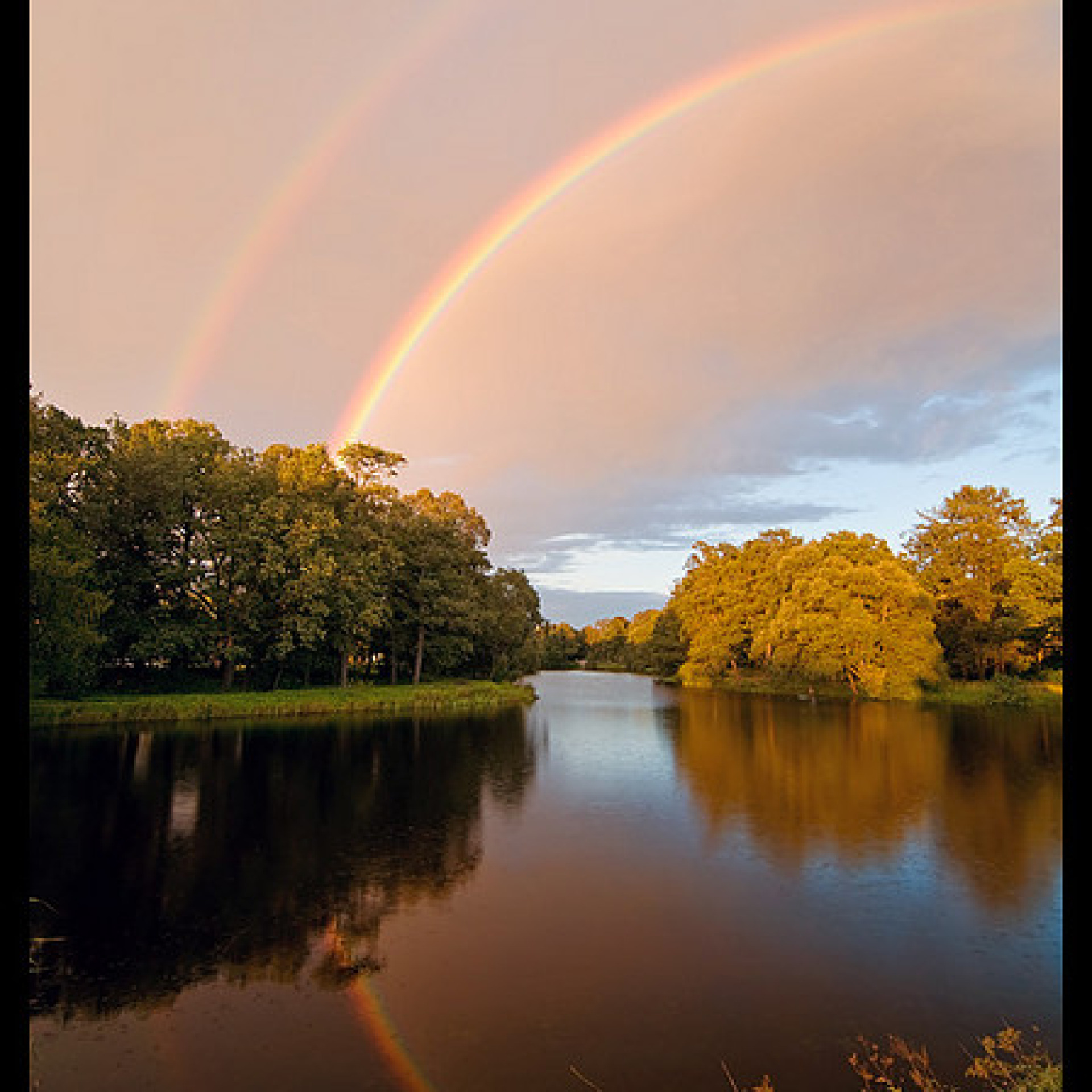 1329813305_db2f1c50c2_z